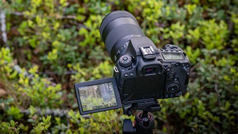 Best DSLR cameras .
